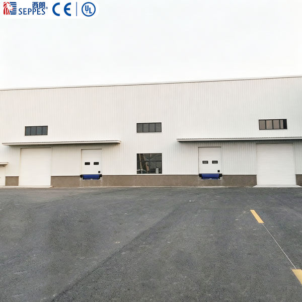 Fresh Fruits Co.,Ltd  出口约旦